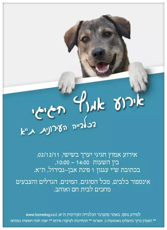 אימוץ כלבים: ארוע מיוחד בכלבייה העירונית תל אביב, ה-2.12