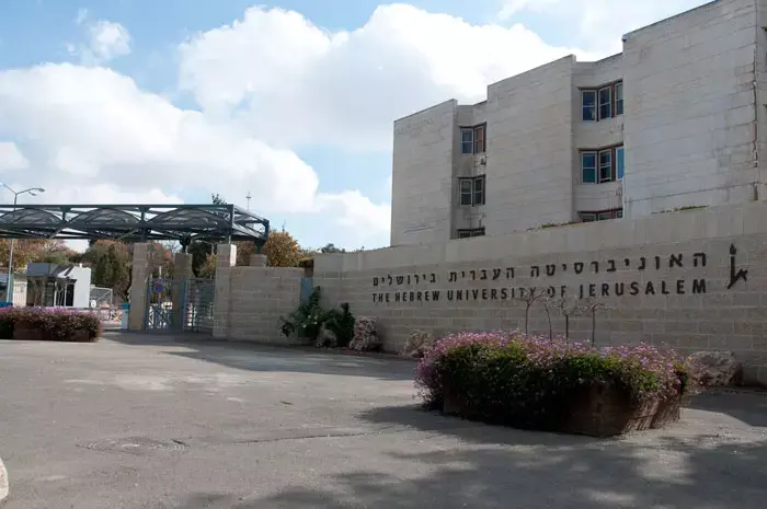 אושר: חופש המידע באקדמיה, אך לא במכללות פרטיות