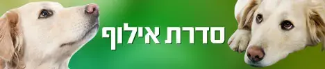 סדרת  אילוף עם מאלף הכלבים דרור בראל
