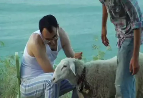 צפו: הרומן של ישראל קטורזה עם כבשה