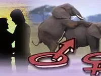 YTV הולכת על סקס