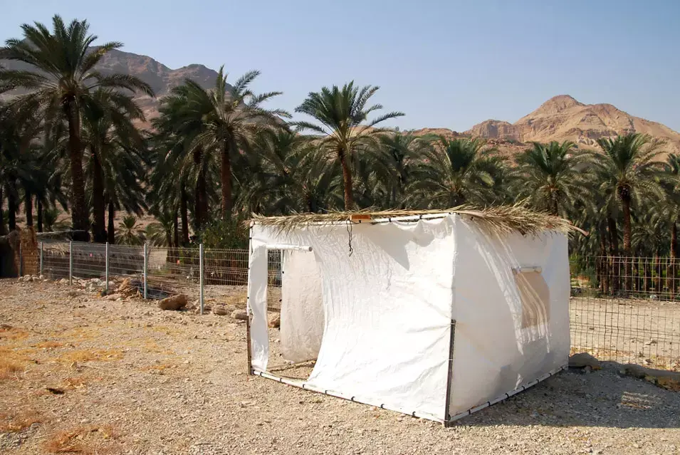 צאו בחוץ: 4 סיבות בריאות לשבת בסוכה