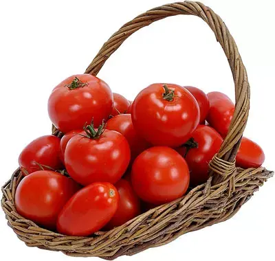 למה העגבניה יקרה? בגלל פער תיווך של 81.1%