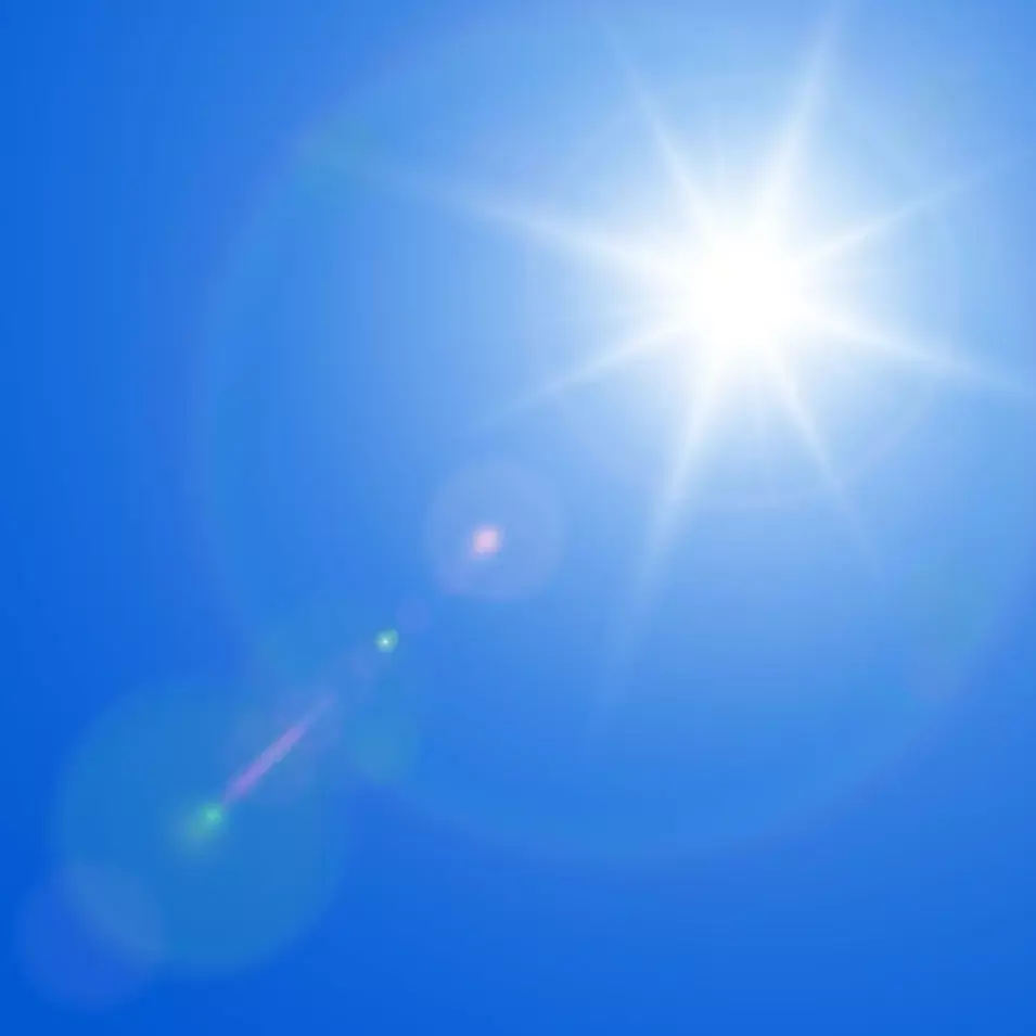 מחקר חדש: ויטמין D שומר גם על המוח