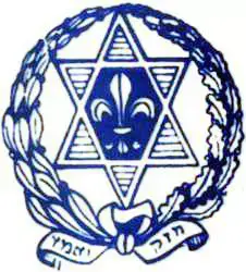 תנועת הנוער &rdquo;השומר הצעיר&rdquo; תתמוך במרצ בבחירות