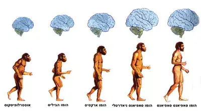 בני אדם לפני 2,300 שנה השתמשו בג&rsquo;ל לשיער