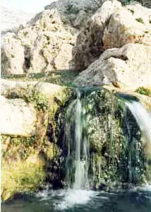 המטיילים יצאו לטבע בהמוניהם