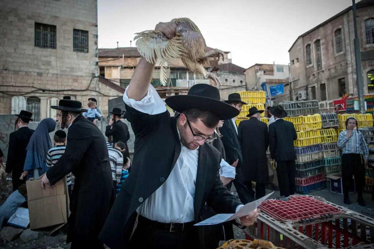 ההתנגדות לכפרות: לא בגלל צער בעלי חיים