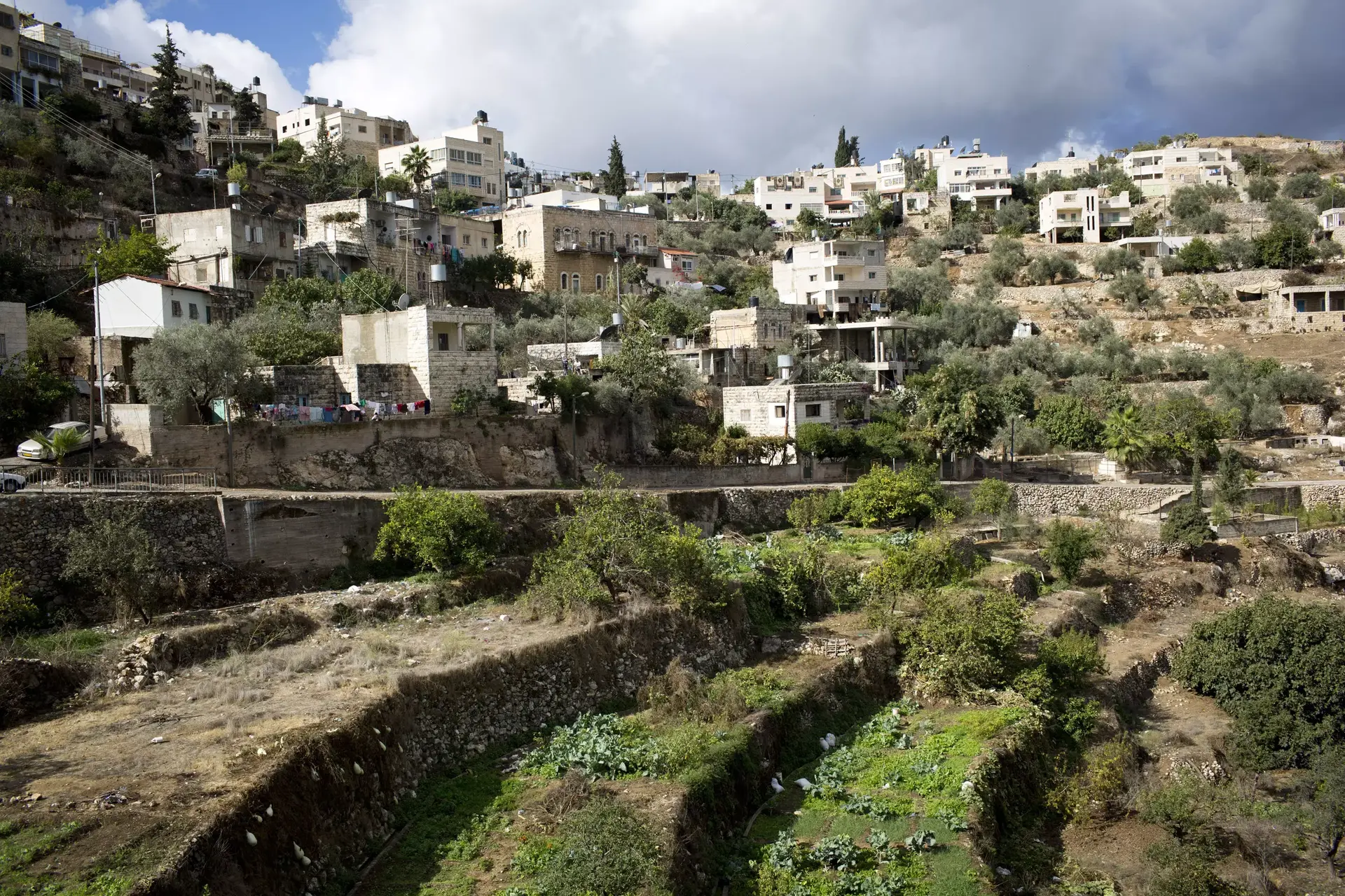 בניגוד לסיכום עם קרי: הפלסטינים פנו לאונסק"ו