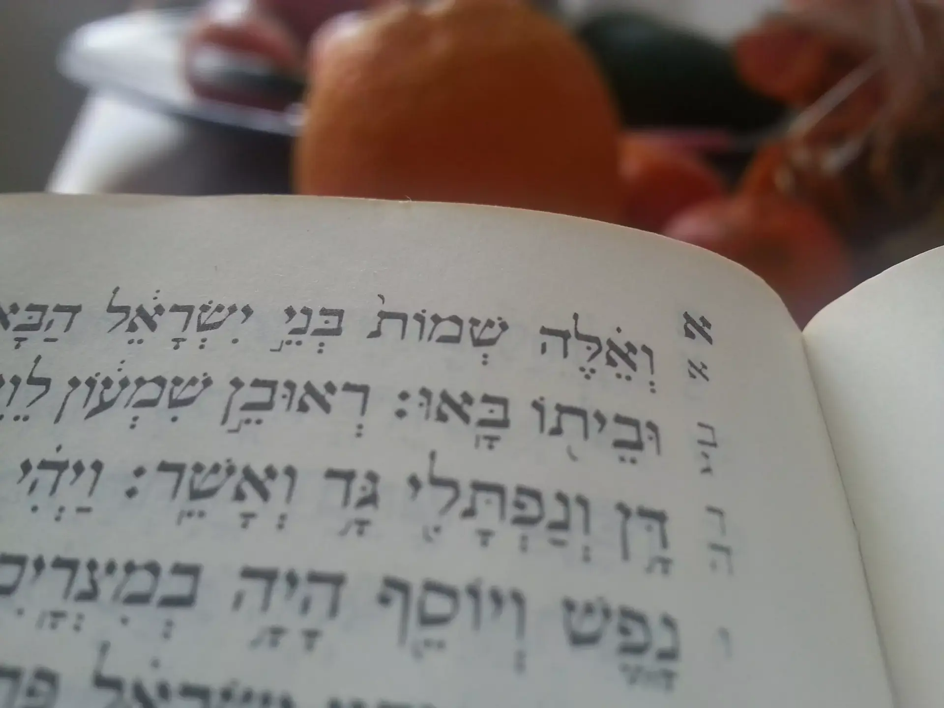 חיים של אבא: זה לא גברת, זה אדון