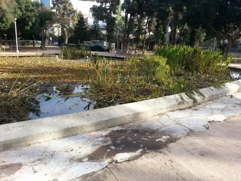 המשטרה: החשודים בסרסור בנערות "פעלו בשיטתיות"