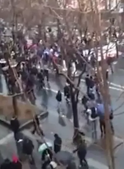 הפגנה נגד נשיא צרפת גלשה לגזענות: "יהודים החוצה"