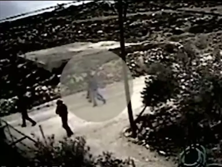 תיעוד: פעילי ימין מבצעים "תג מחיר" בכפר ליד שכם