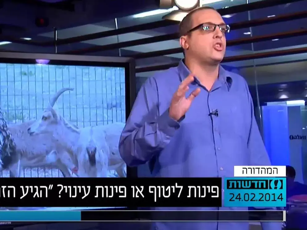 פינות ליטוף או פינות עינוי? "הגיע הזמן לסגור אותן"