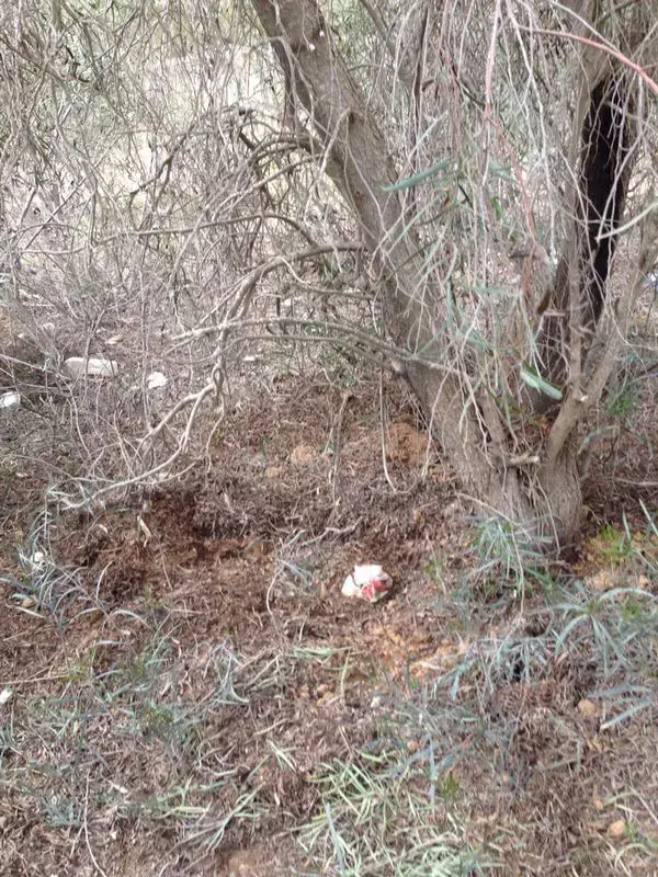 בת 30 מהנגב חשודה שרצחה וקברה את בנה לאחר הלידה