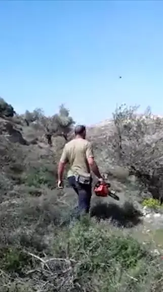 תג מחיר על חם: צעיר נתפס כשניסה להצית מטע זיתים
