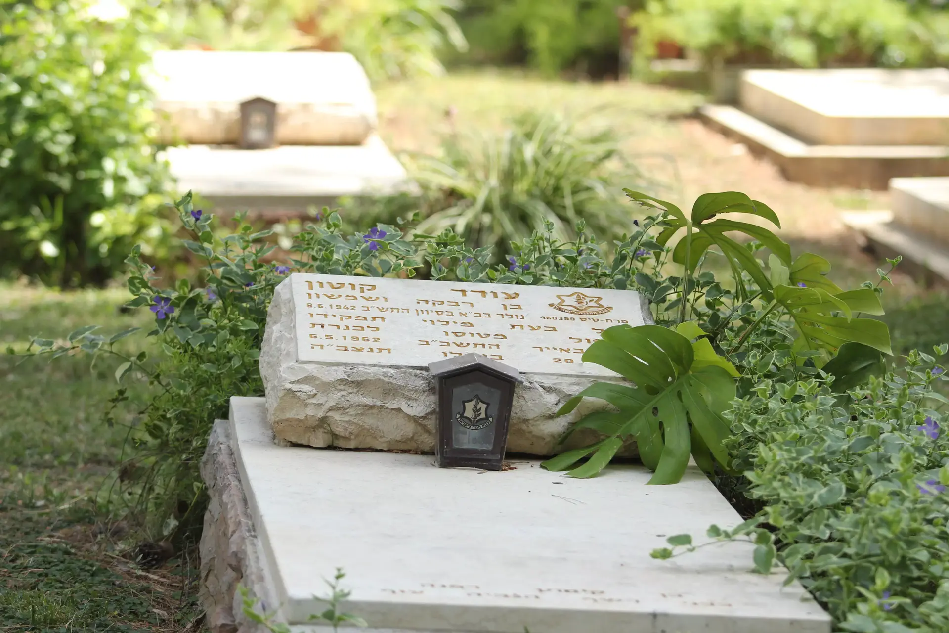 טייס אחד, שלוש הלוויות