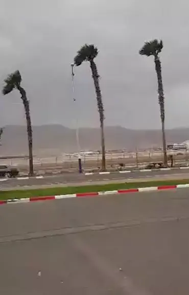 סופה באילת: 3 נפגעים מקריסות עצים וחפצים מתעופפים