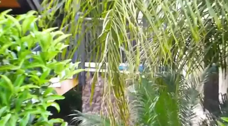 בחד נס המומים ממקרי הטביעה: "צירוף מקרים מזעזע"