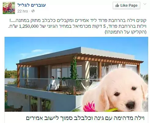 קמפיין שנוי במחלוקת: "קנו וילה וקבלו כלבלב מתנה"