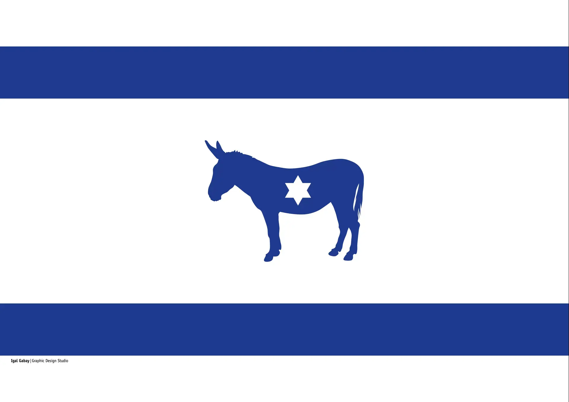 מעצבים מציגים: הדגל האלטרנטיבי שלי