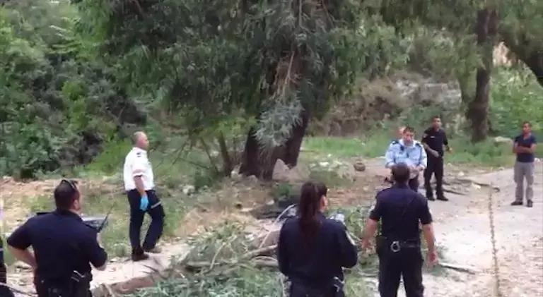 אסון בחג: בת 50 נהרגה מקריסת עץ בחיפה, בעלה ונכדה נפצעו