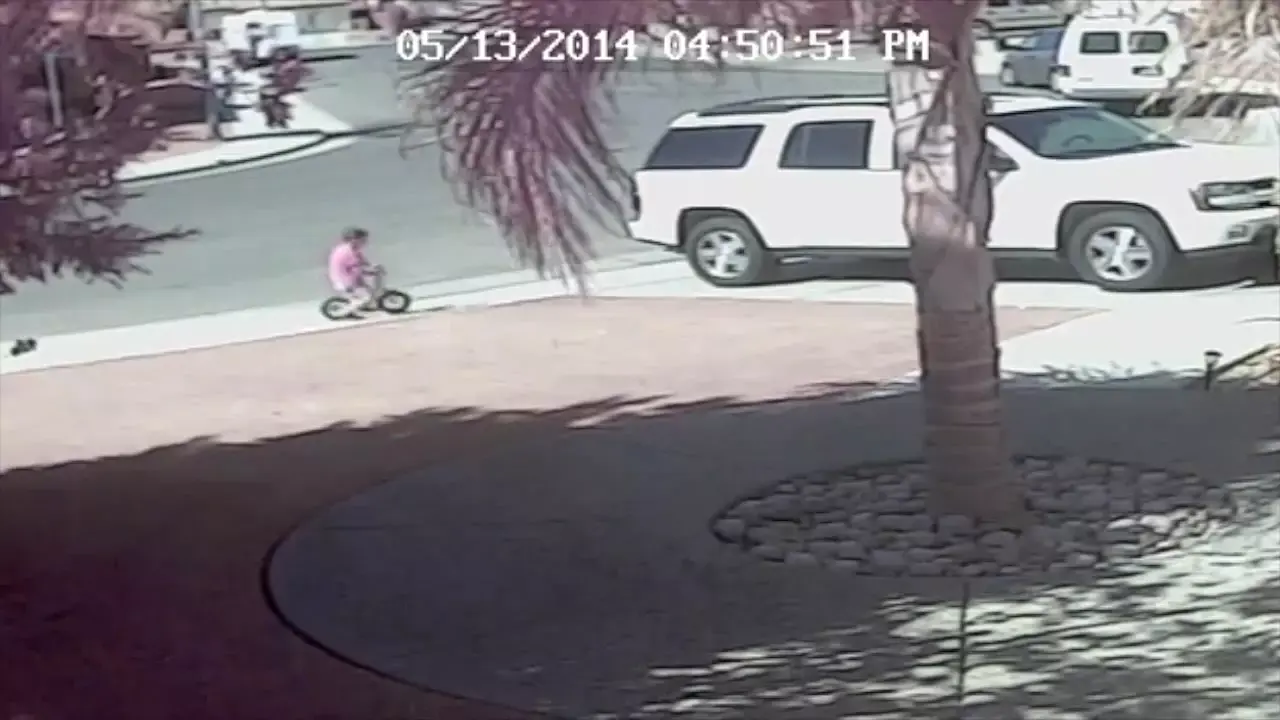 החדשות בדקה: צפו בחתול מציל ילד קטן מתקיפת כלב