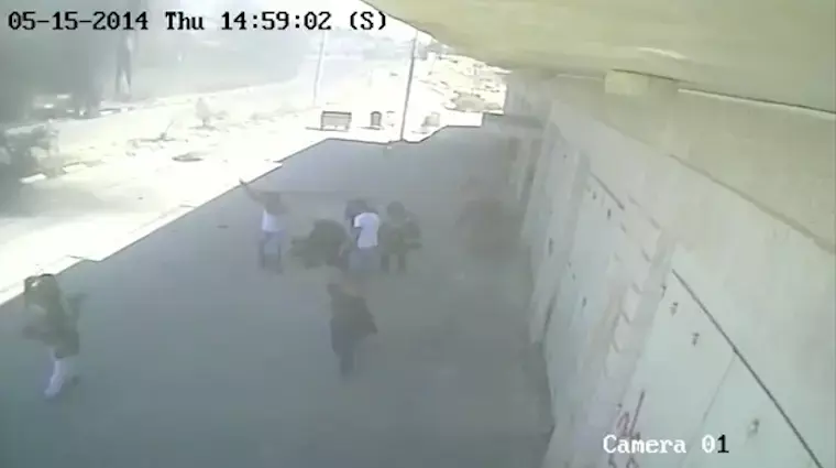 ליברמן על הרג הפלסטינים: "הסרטים צצו באיחור"