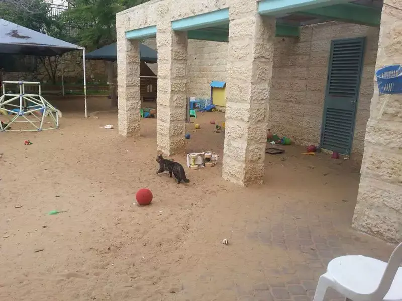 בהלה במודיעין: 4 ילדים אושפזו בחשד שחלו בדיזנטריה