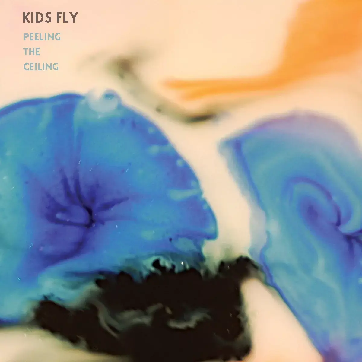 בכורה: סינגל ראשון לKids Fly