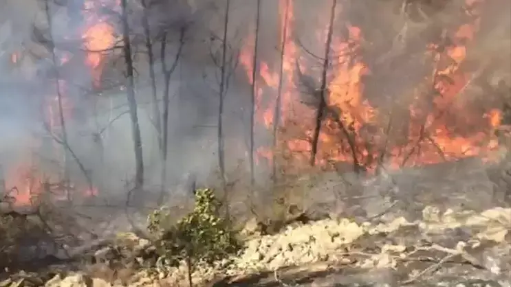 הושגה שליטה על השריפה בירושלים; כיבוי האש יימשך הלילה