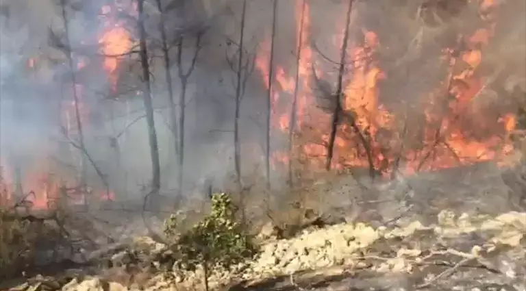 השריפה בבירה: תושבים נערכים ללילה מחוץ לבית