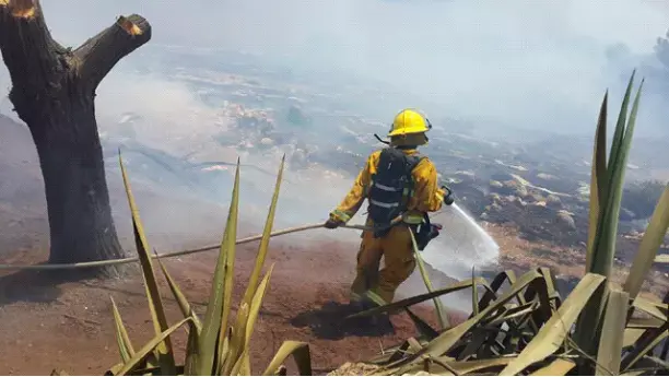 הערכה: השריפה בגן נר נגרמה כתוצאה מנרגילות