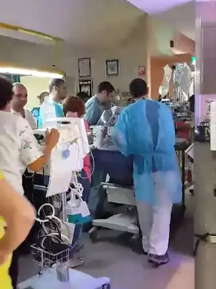 בשל המצב: הפגייה בסורוקה הועברה לאזור ממוגן