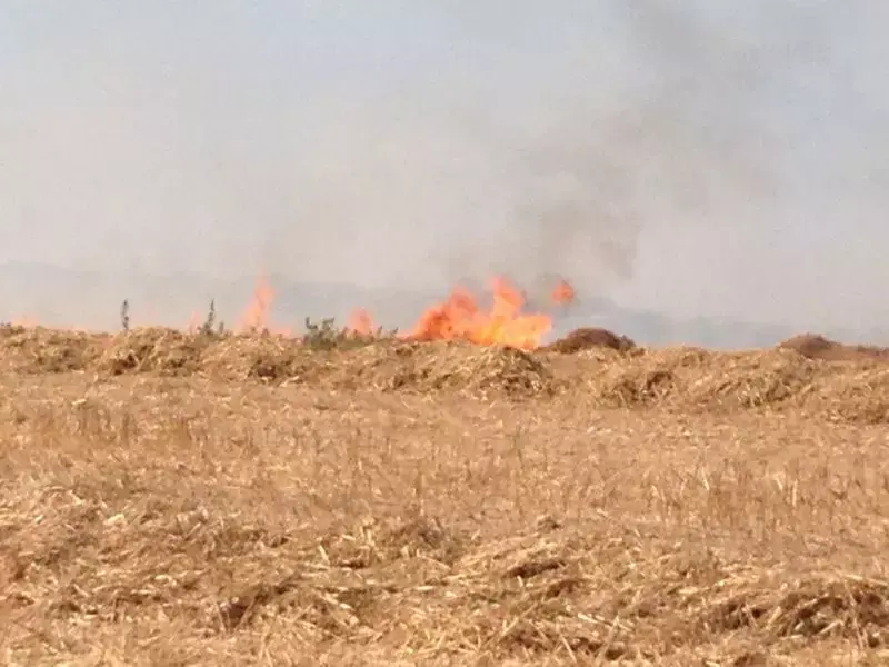 יום בחיי תושבי מרחבים: "חמאס לא יכתיב את חיינו"