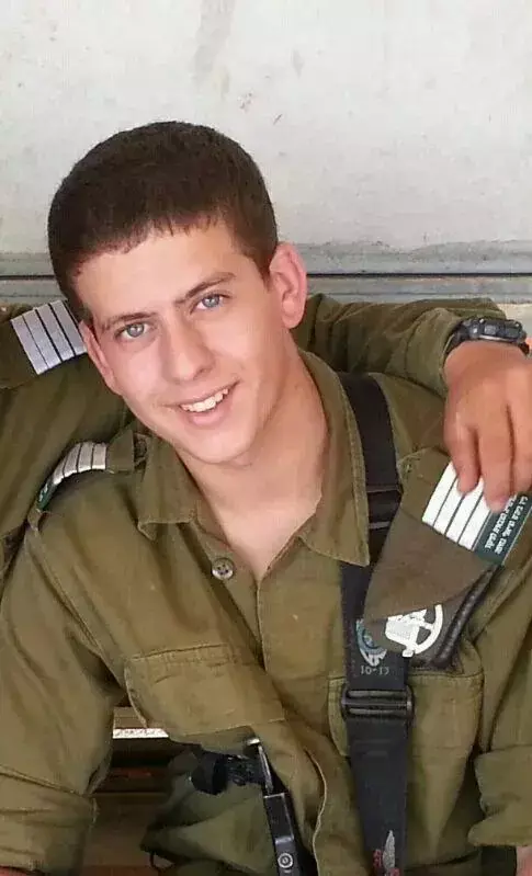 סמל ארז שגיא