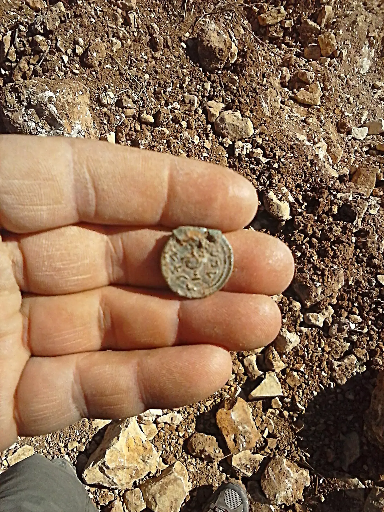 מטמון נדיר מתקופת המרד הגדול התגלה ליד כביש 1