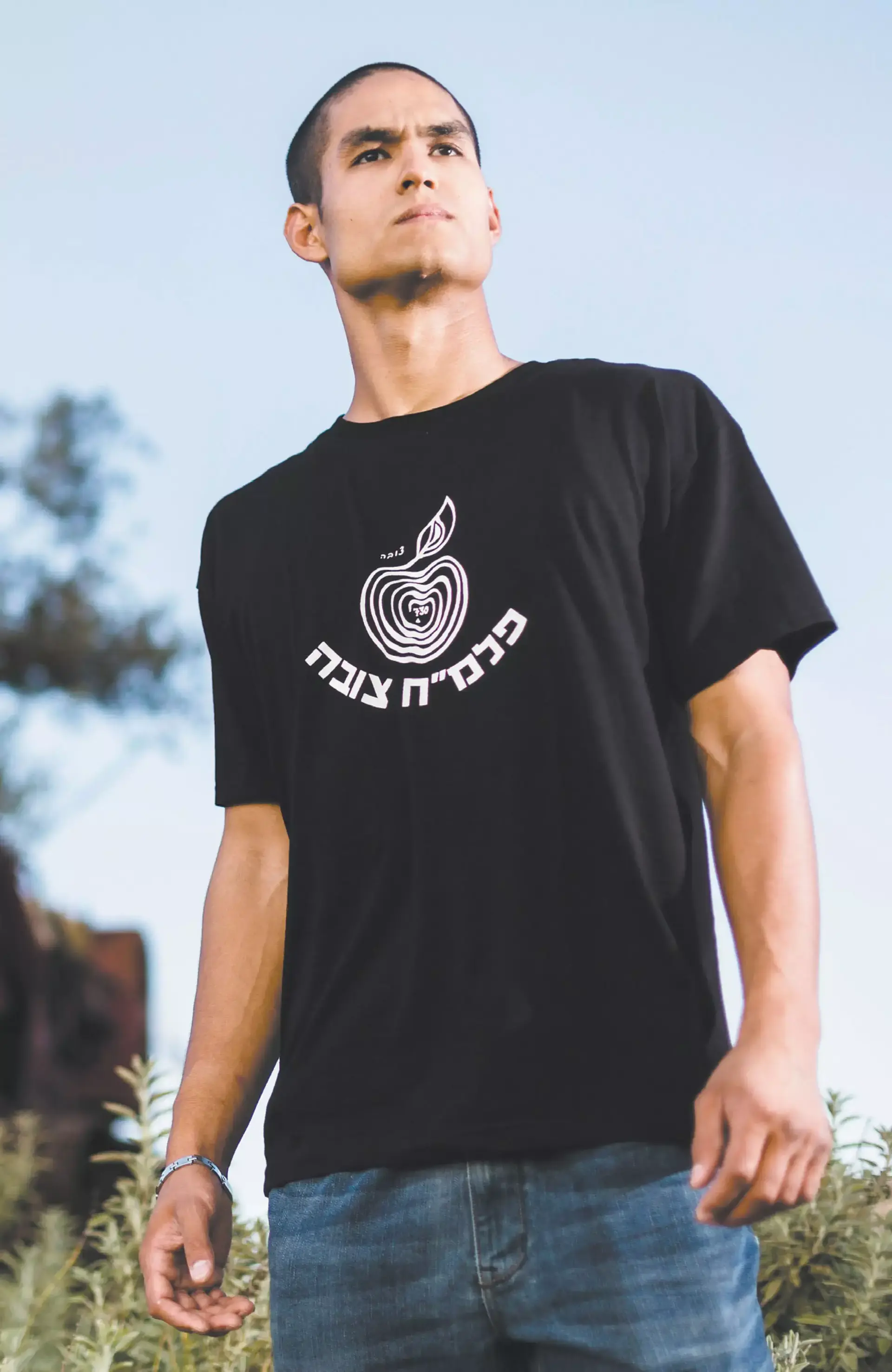 מסעות ג'וש בארץ הקודש