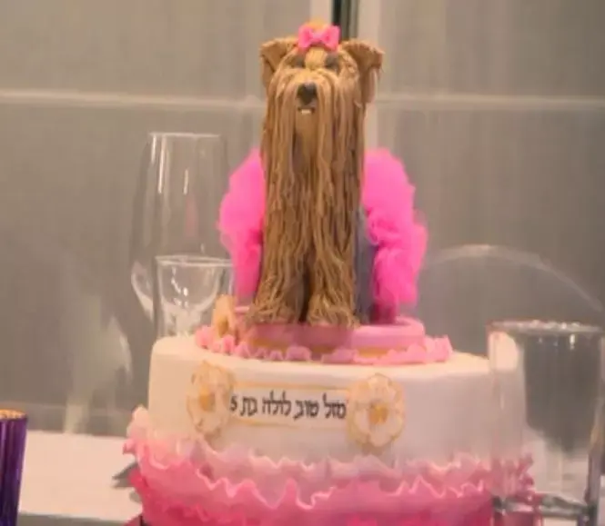 הצצה ל"מעושרות": הכלבה לולה חוגגת יום הולדת