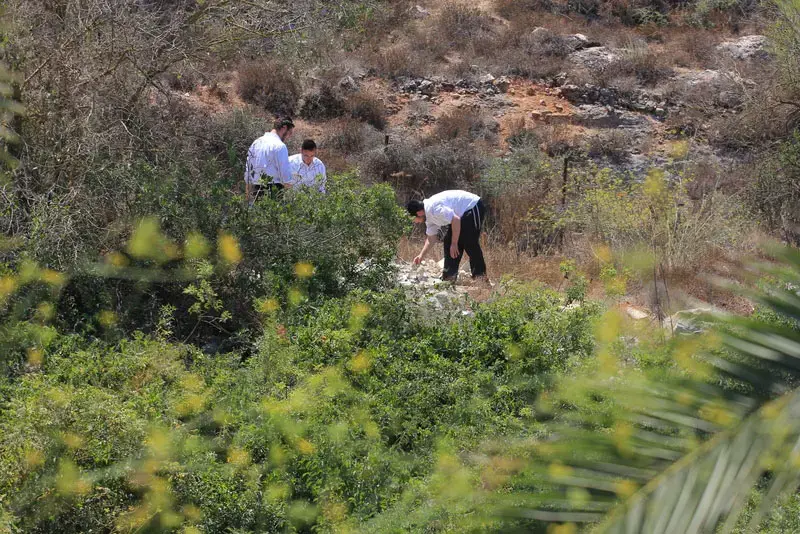 בן 23 מירושלים נעדר מיום שישי: "מפחדים שנחטף"