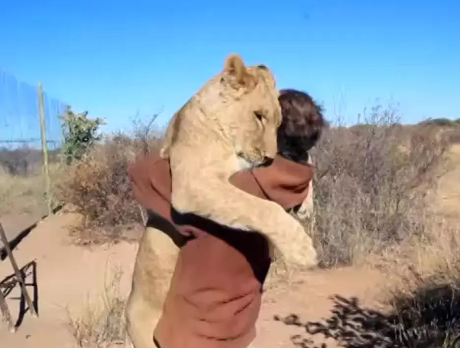 האפקט המרפא של חיבוק