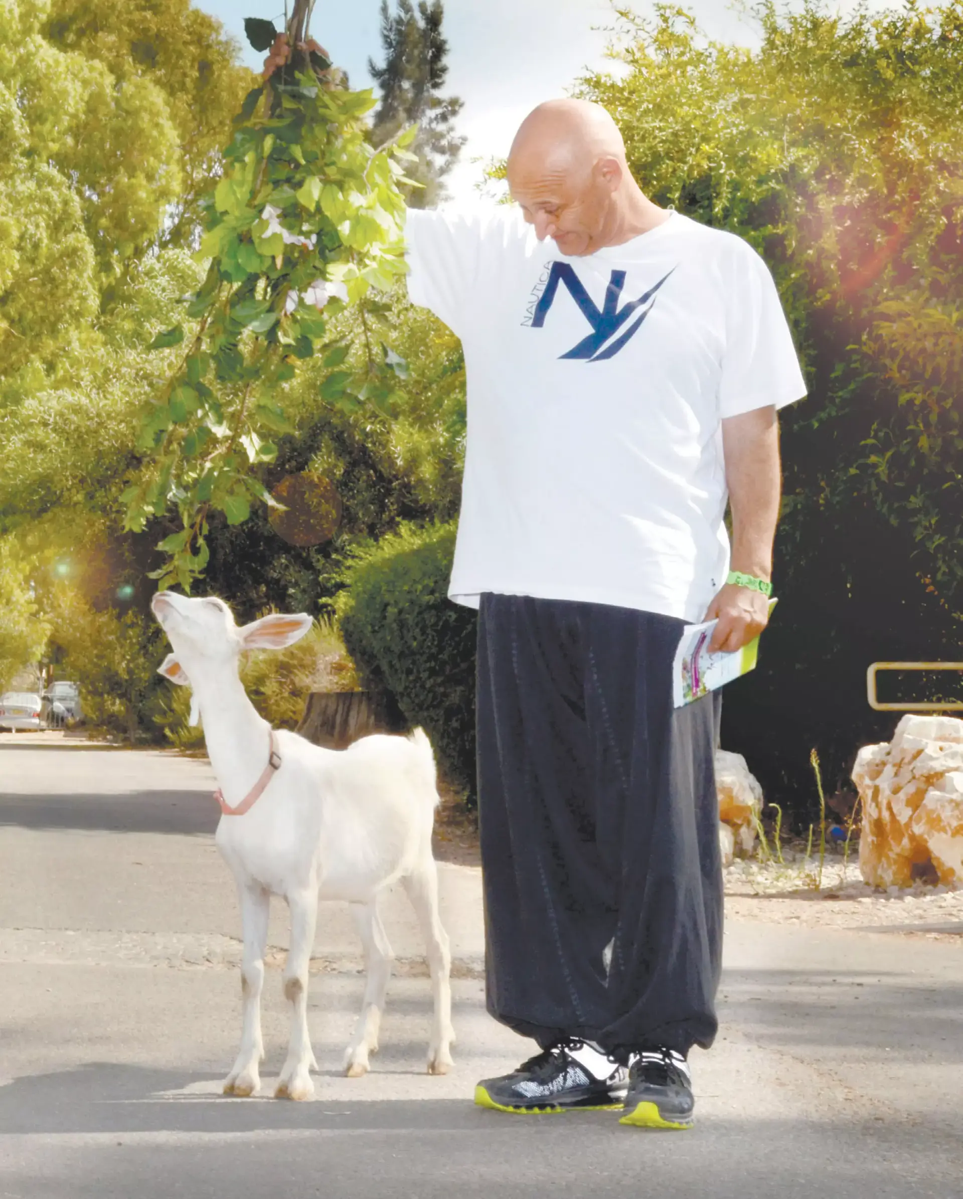 פסטיבל השרוואל