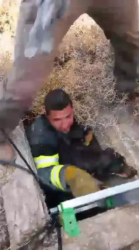 כלב שנפל לבור חולץ לאחר יומיים שבהם כרסם כבלים
