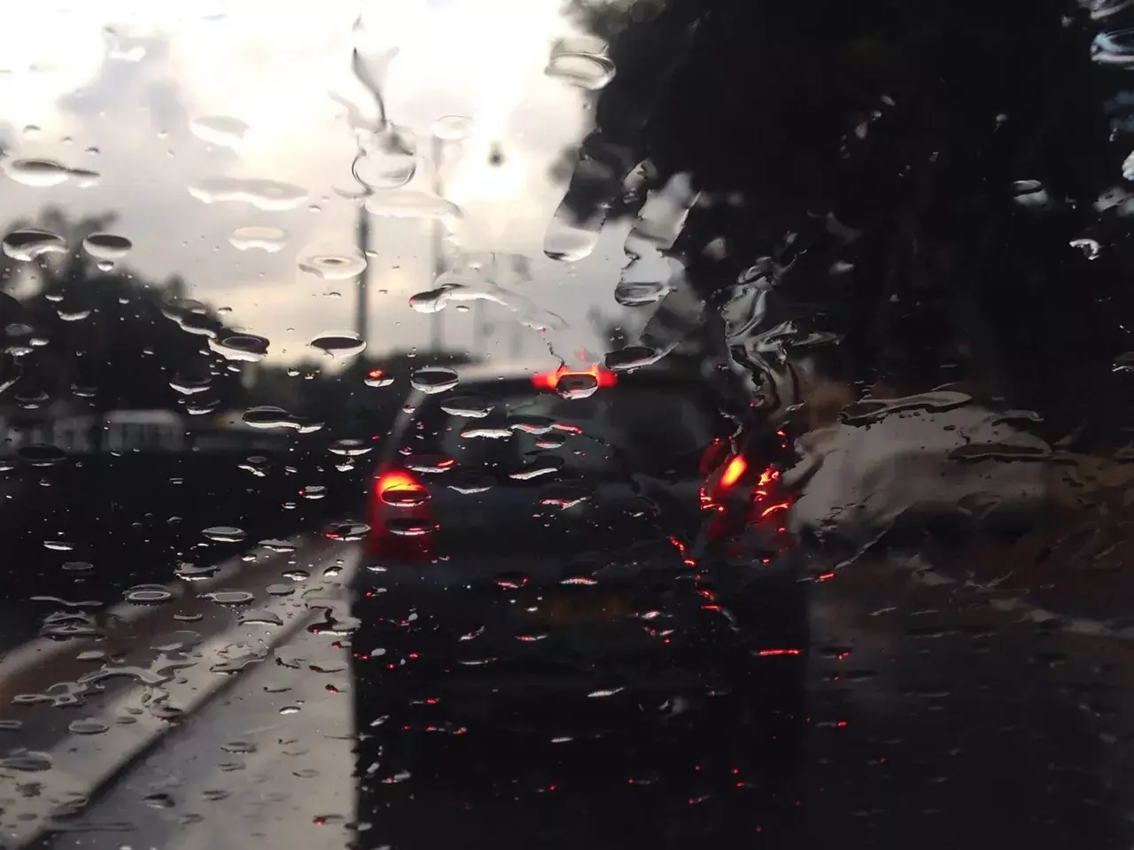 היורה כאן: גשם מקומי בצפון ובמרכז