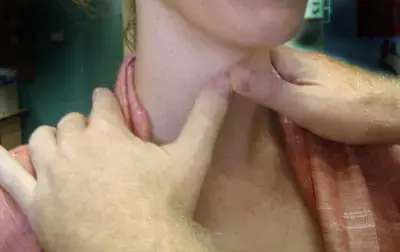 נאשם ברצח ניסה לחנוק את עורך דינו בביהמ&rdquo;ש