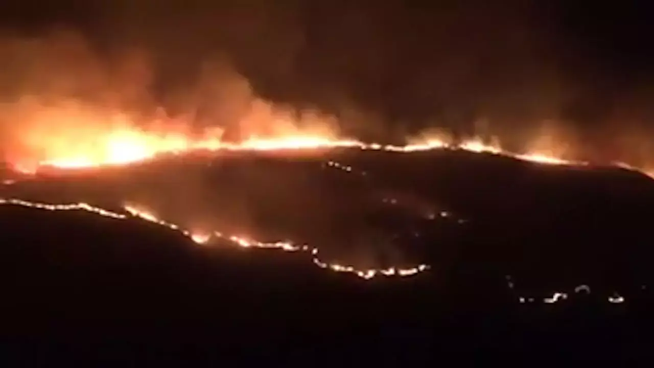 3,000 דונם חורש טבעי נשרפו ברמת הגולן