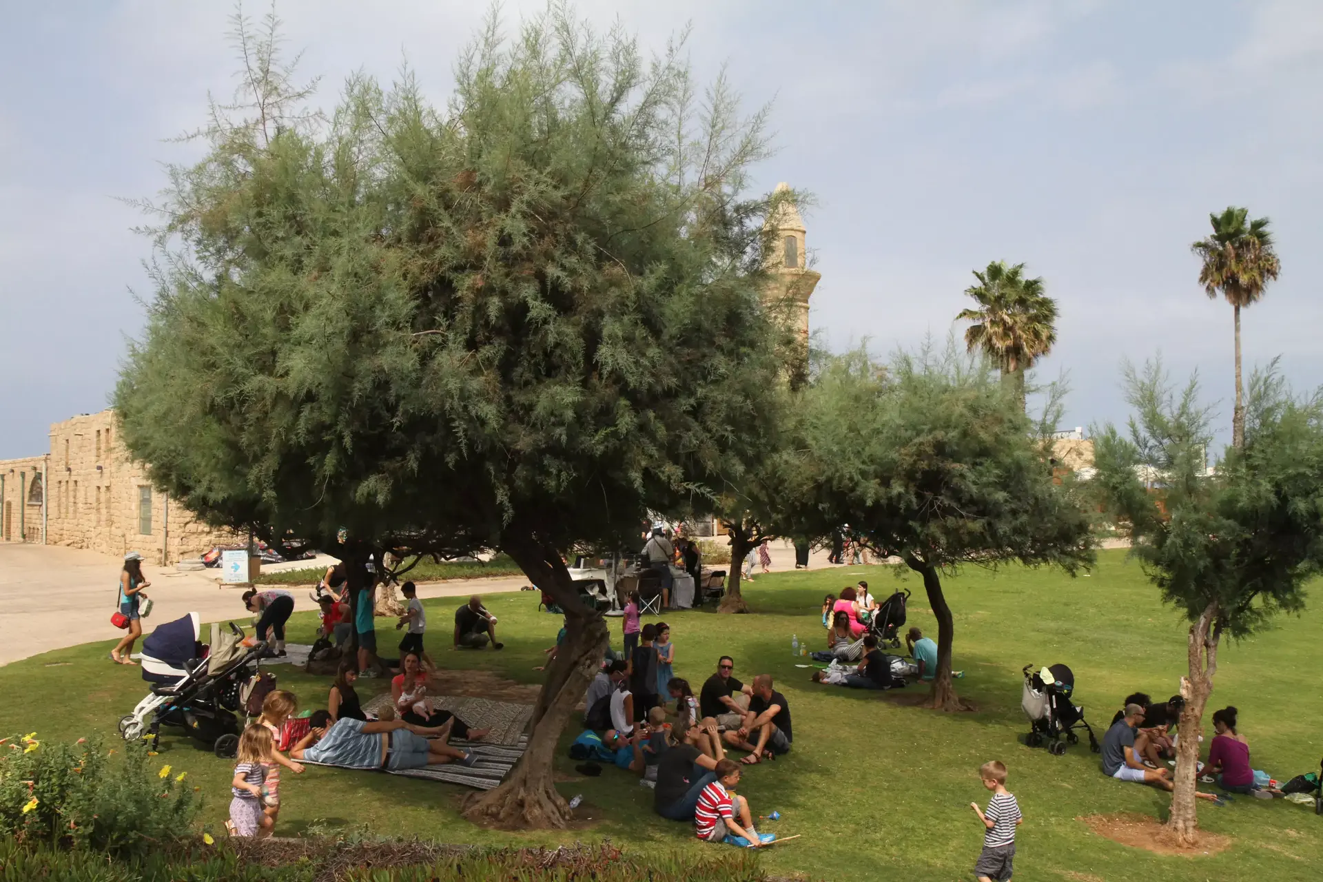 השמש עוד כאן: מזג אוויר נאה, עלייה קלה בטמפרטורות
