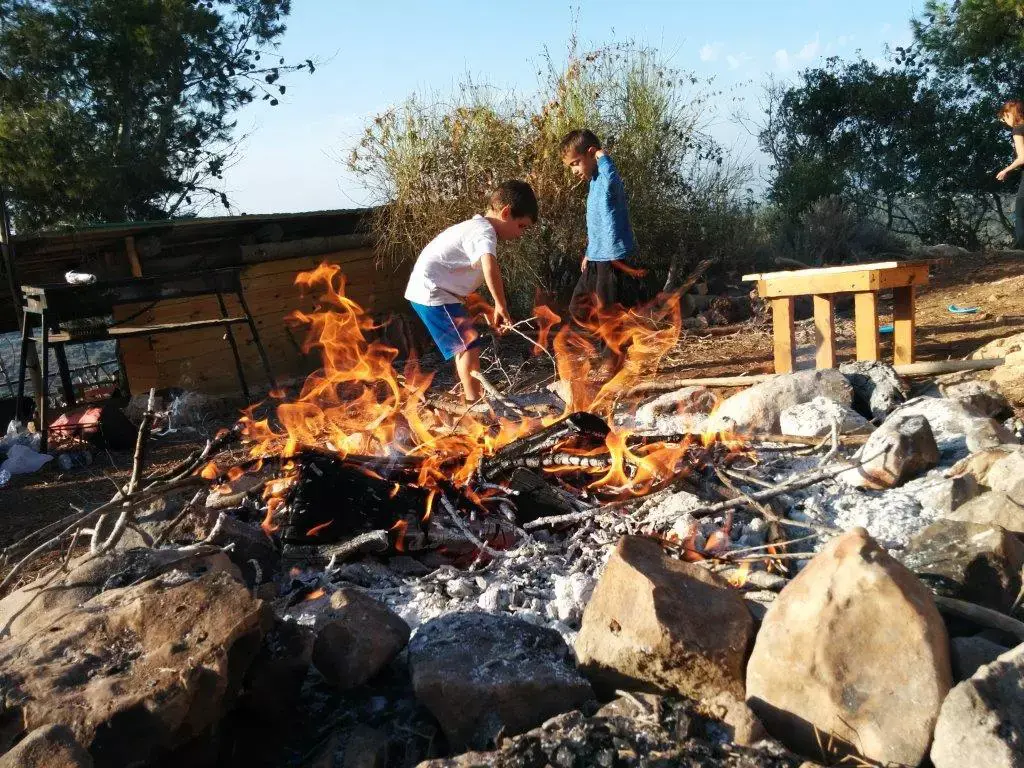 חיים של אבא: חיות שטח