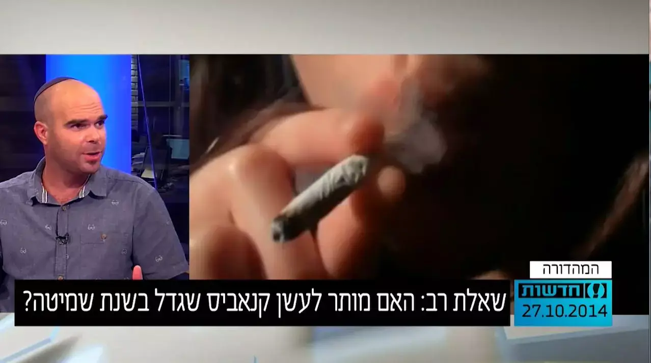 שאלת רב: האם מותר לעשן קנאביס שגדל בשנת שמיטה?