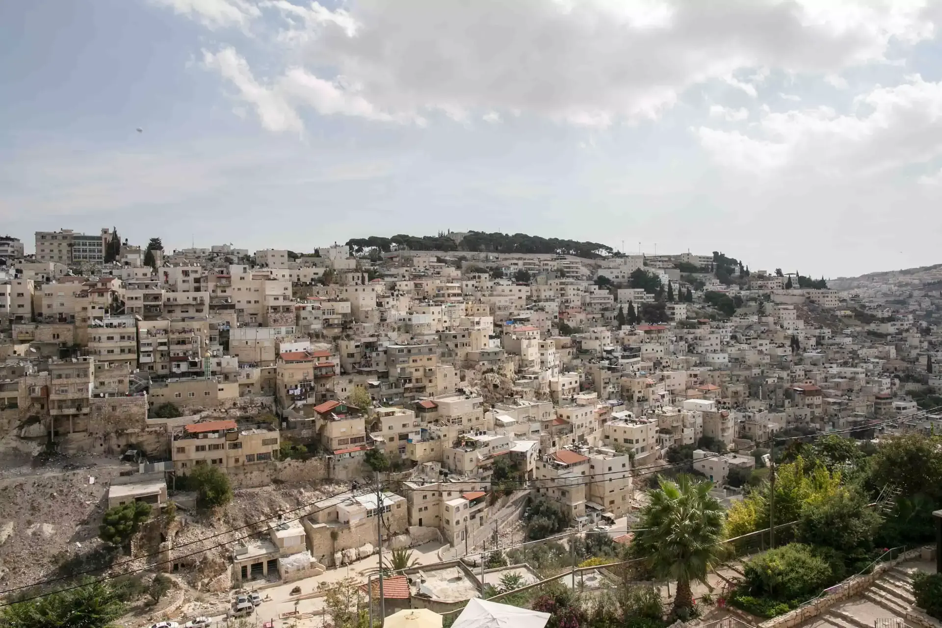רחובות בי-ם בשכונות שבהם רוב מכריע של ערבים - יקראו ע"ש רבנים